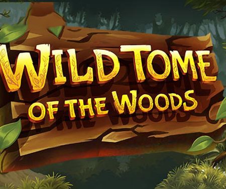 แนะนำวิธีการเล่น Wild Tome of the Woods Slot